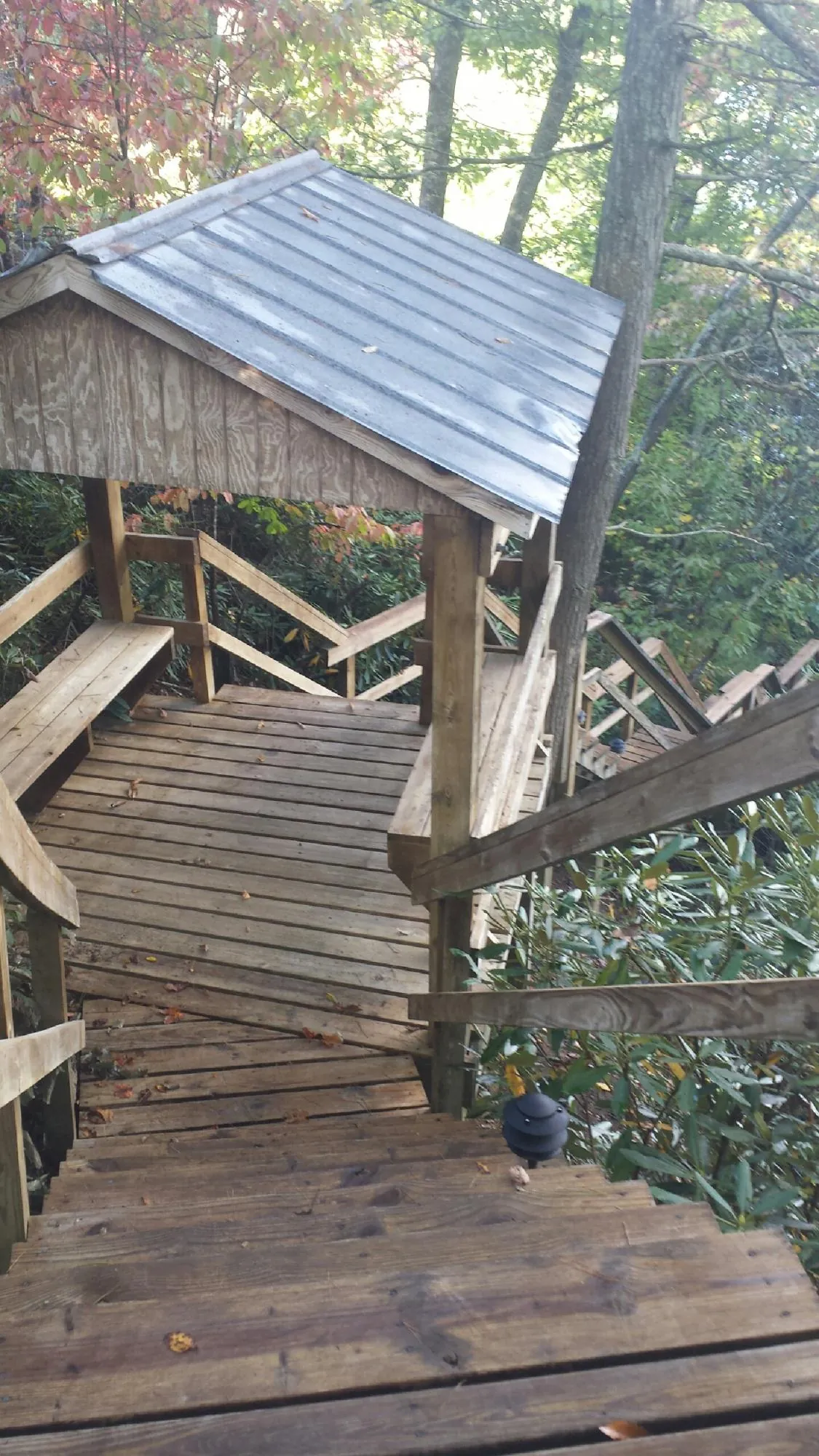 Metal roofed shelter over wooden steps on a wooded walkway in Century