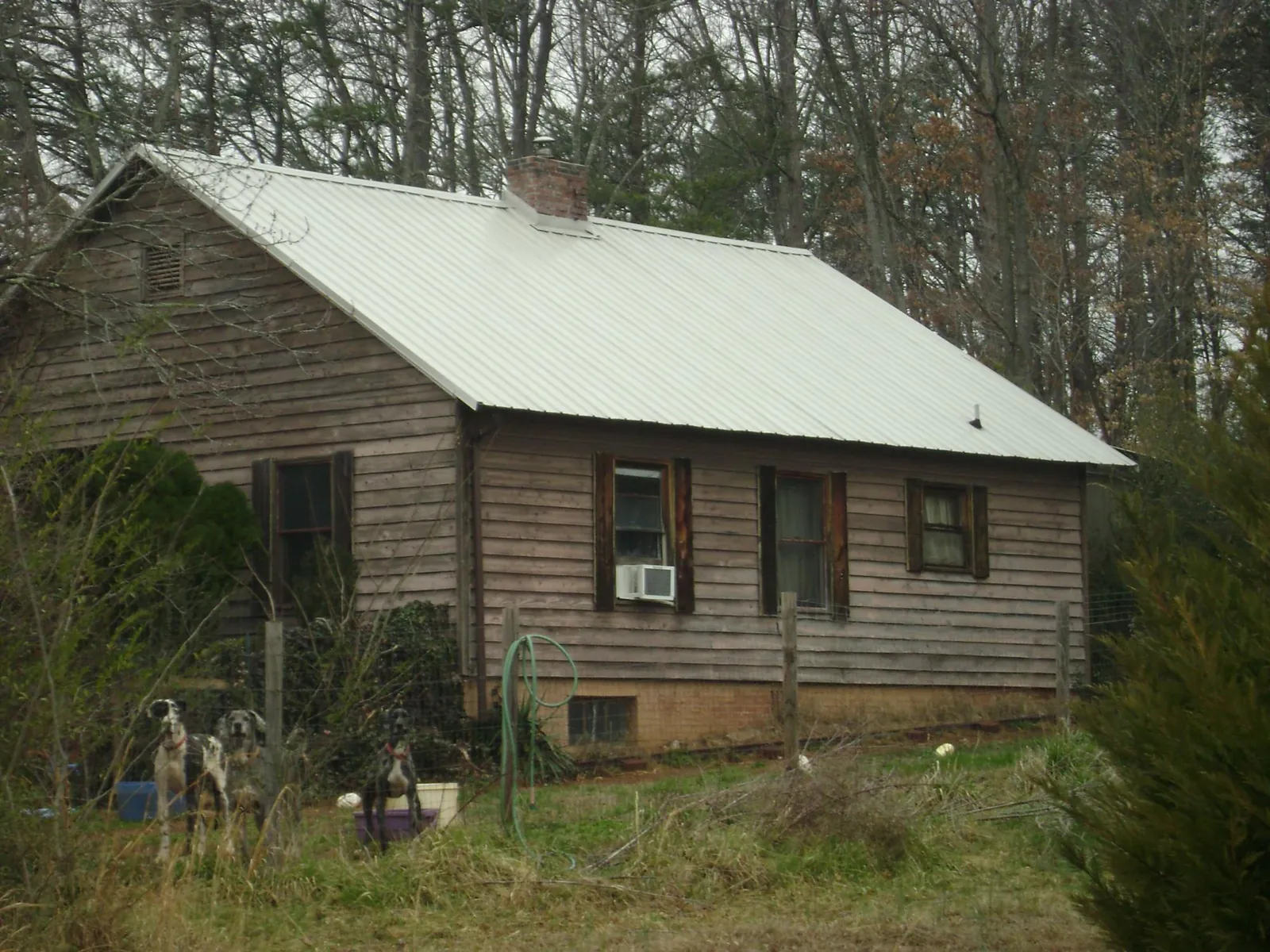 White metal roof on an old wood sided farmhouse, from a Asphalt Shingle Roof Repair job in Century